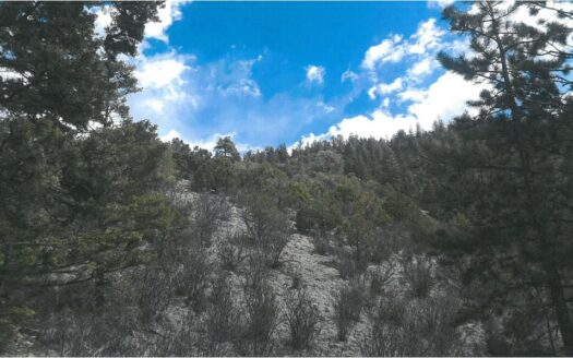 5.59 acres Sangre de Cristo Ranches