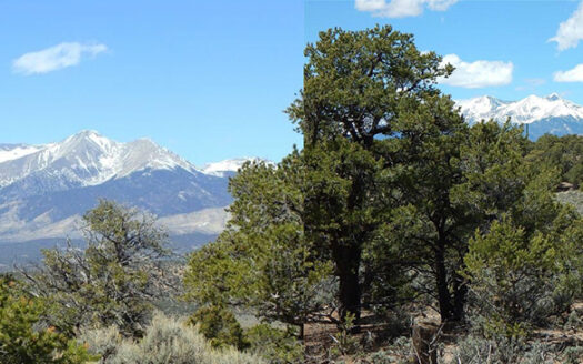 5.59 acres Sangre de Cristo Ranches