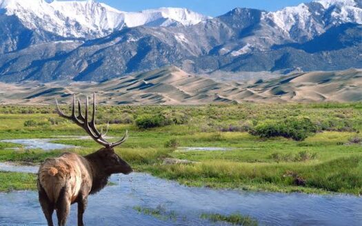 Colorado 80 Acres Ranch