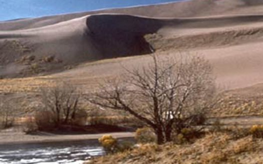 Colorado 80 Acres Ranch