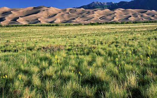 Colorado 80 Acres Ranch