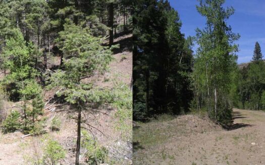 10.79 ac in Sangre de Cristo Ranches Alamosa CO